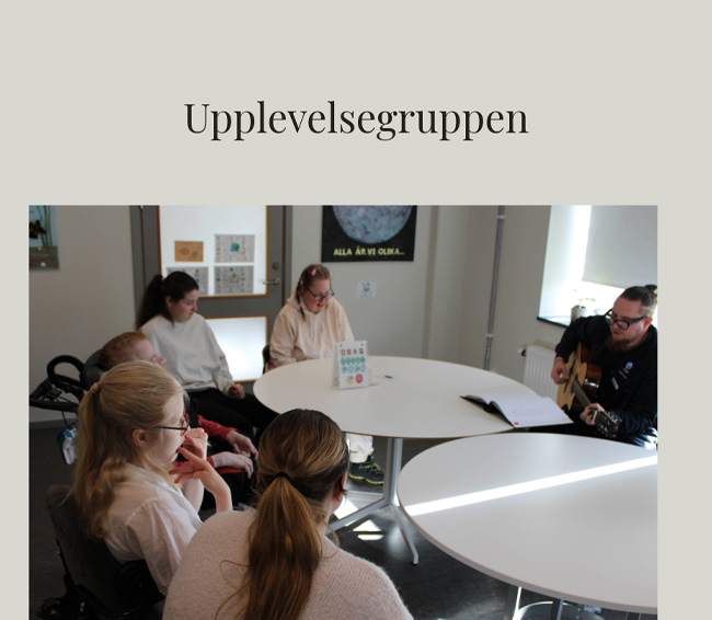 Upplevelsegruppen